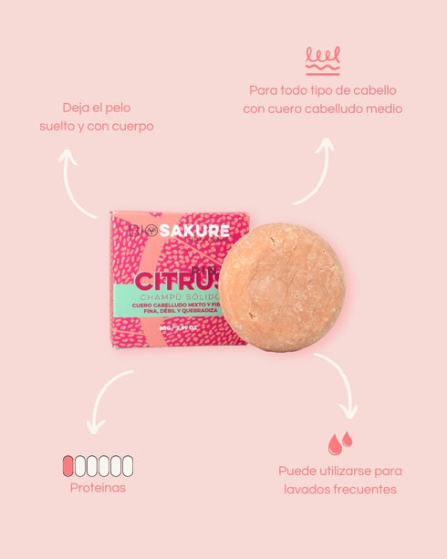 pack champú sólidos cuero cabelludo seco, normal y graso